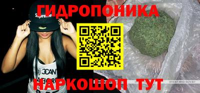 мяу мяу мука Гусиноозёрск