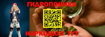 гидропоника Гусев