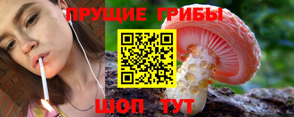 Псилоцибиновые грибы Psilocybine cubensis Луховицы